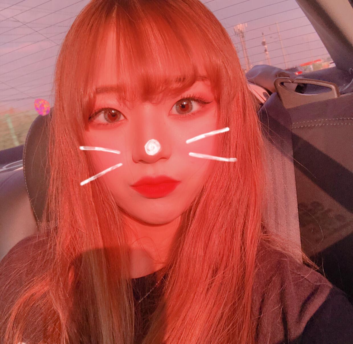 리뷰어 프로필