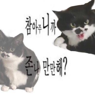 만만하냥 프로필