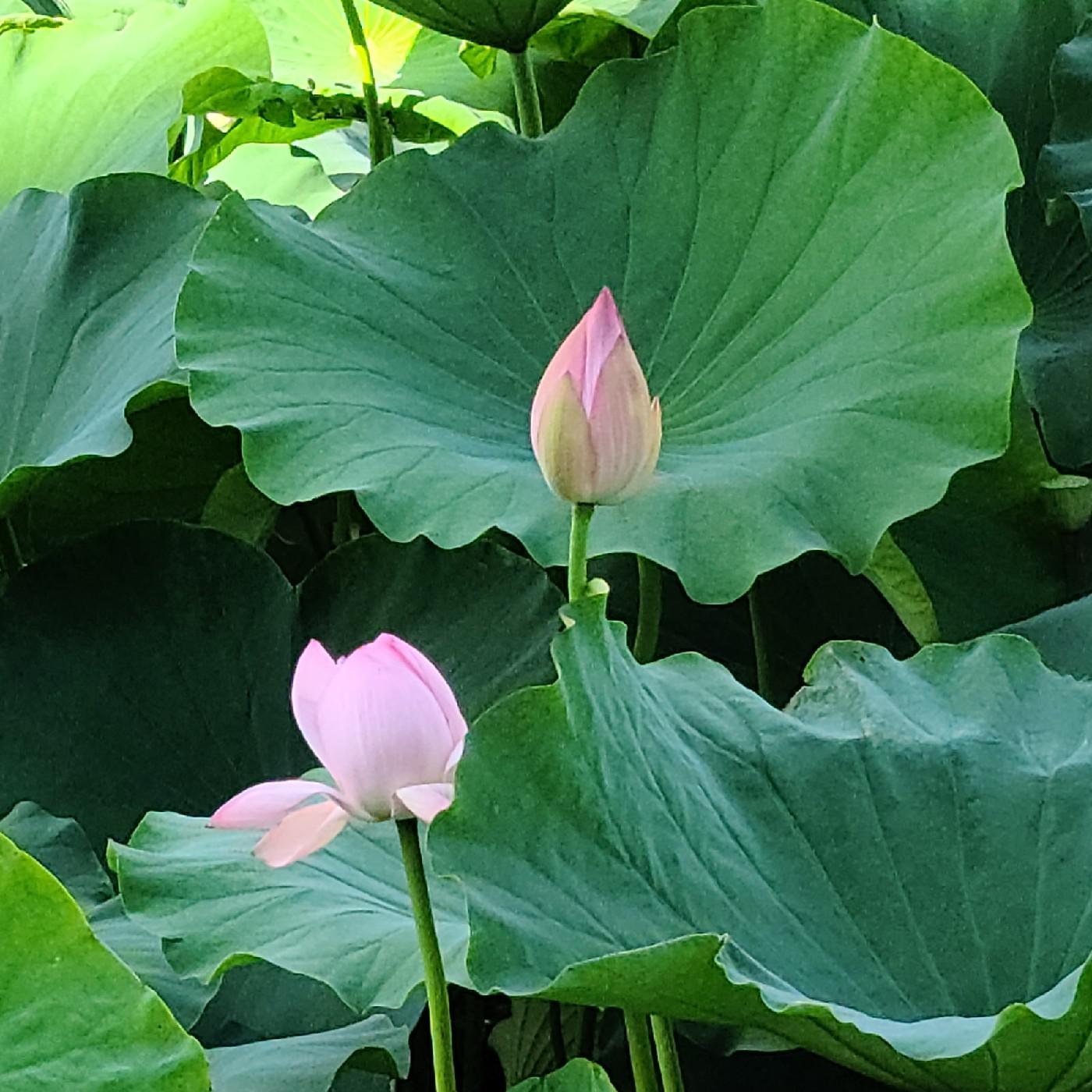 울님 프로필