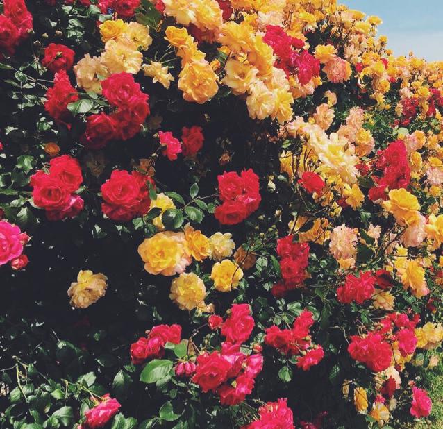 sunny0225 프로필