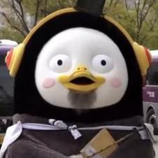 샤링 프로필