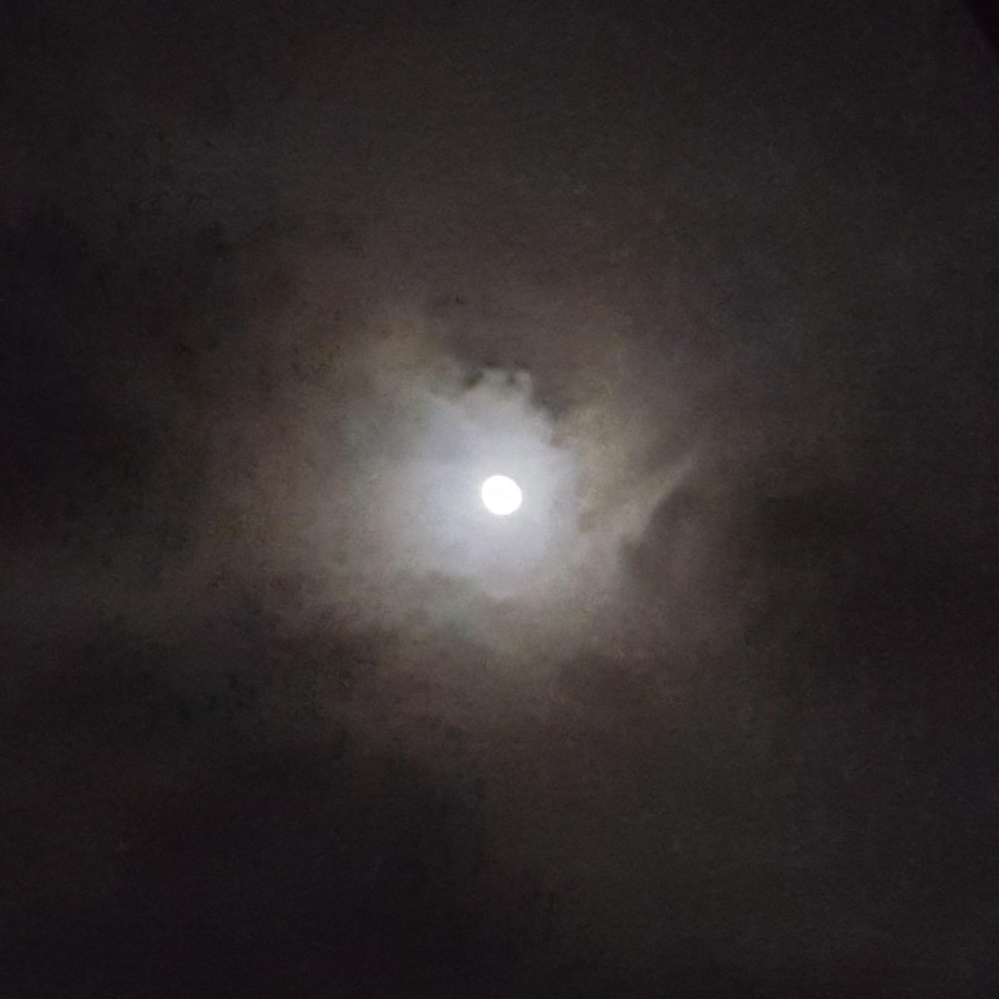 반율 프로필