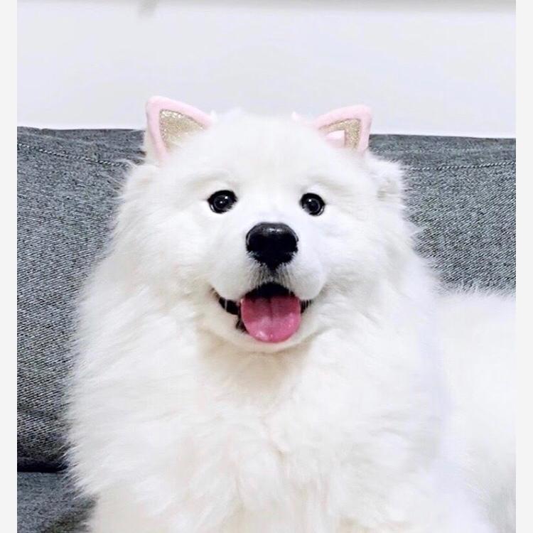 리뷰어 프로필
