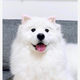 저스틴비버