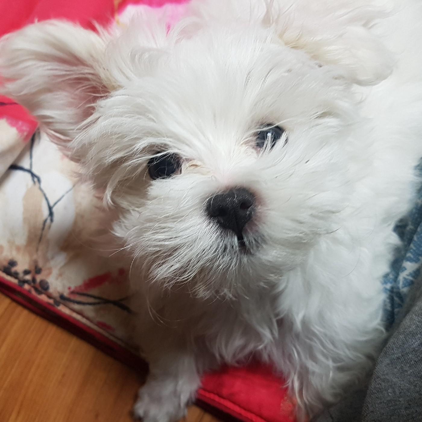 윤몬 프로필
