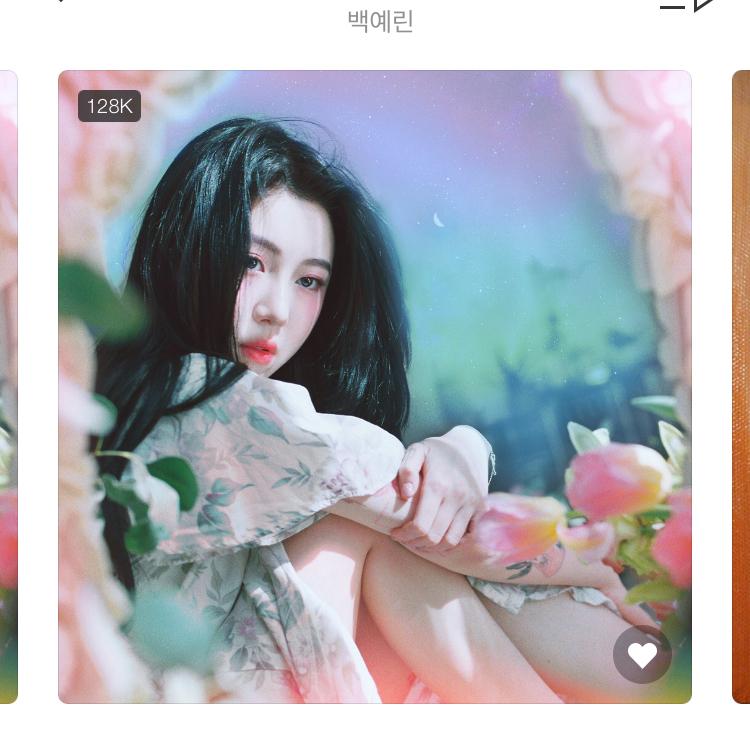 다당다 프로필