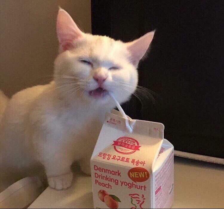 yeeejiny 프로필