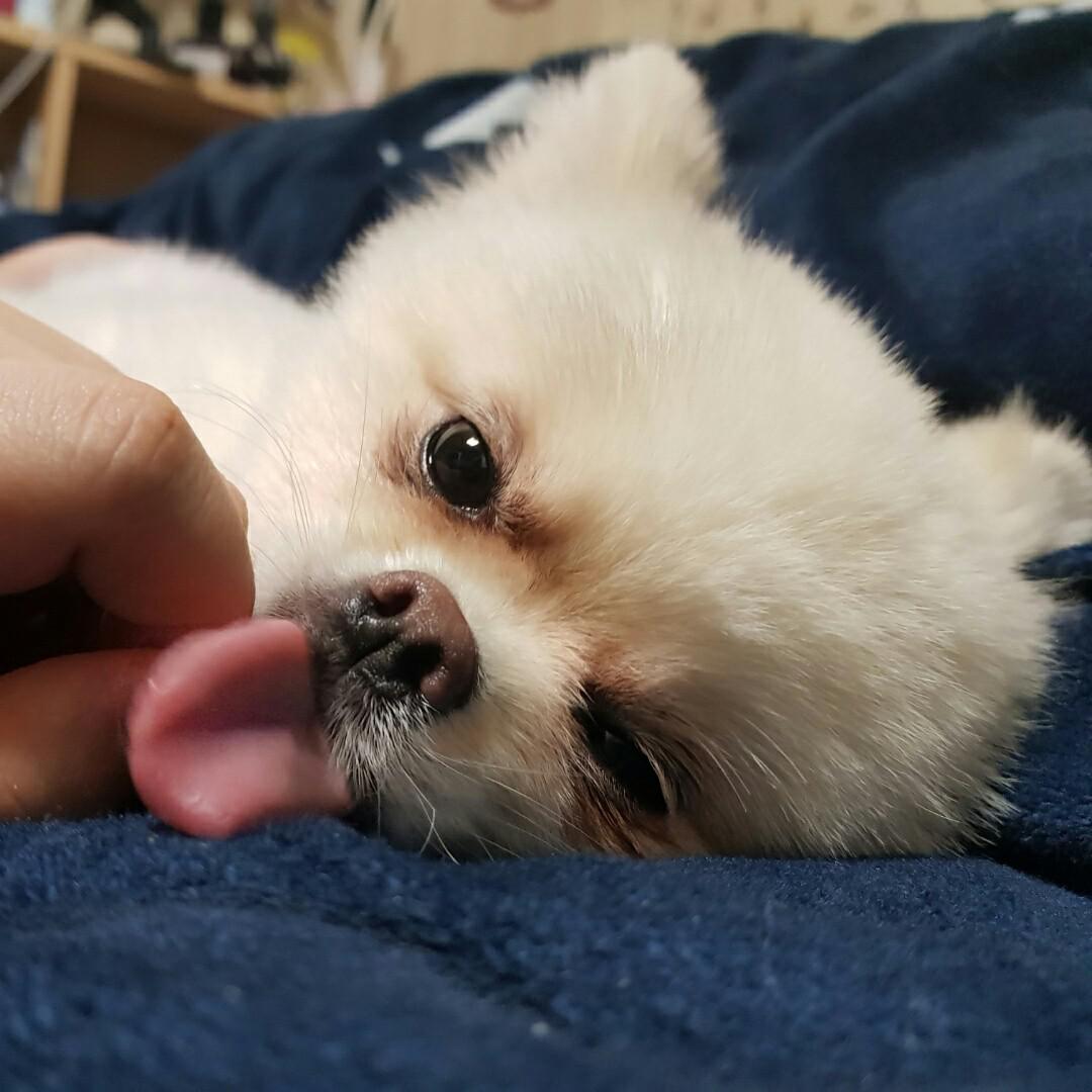 준면이가준면 프로필