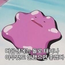 태어난김에사는여자 프로필
