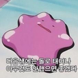 태어난김에사는여자