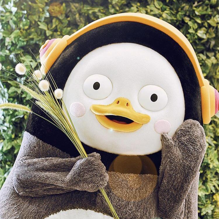 달예지 프로필