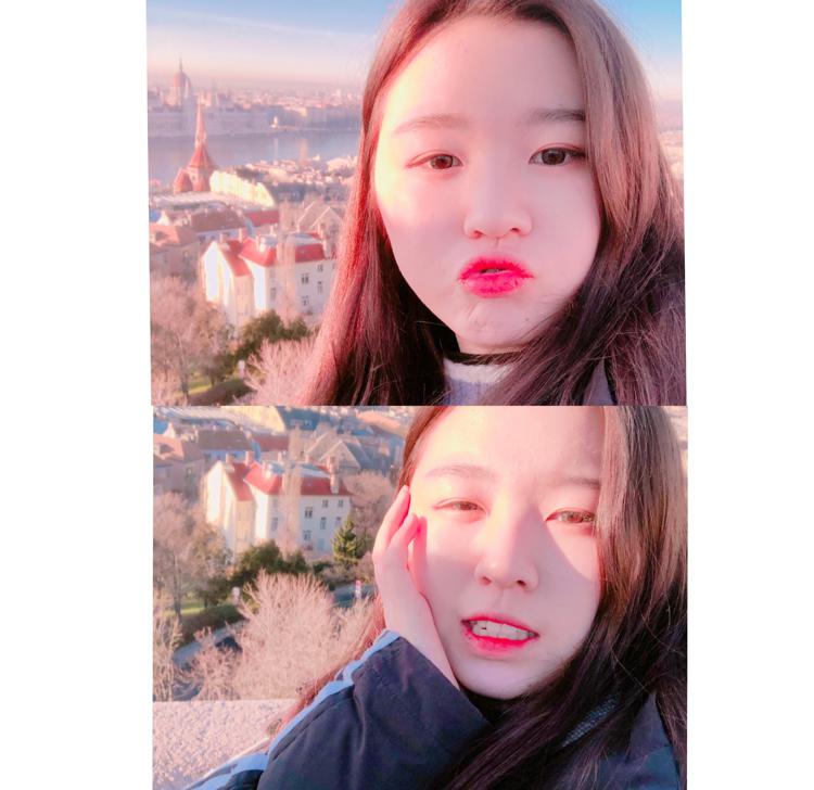 이무채 프로필