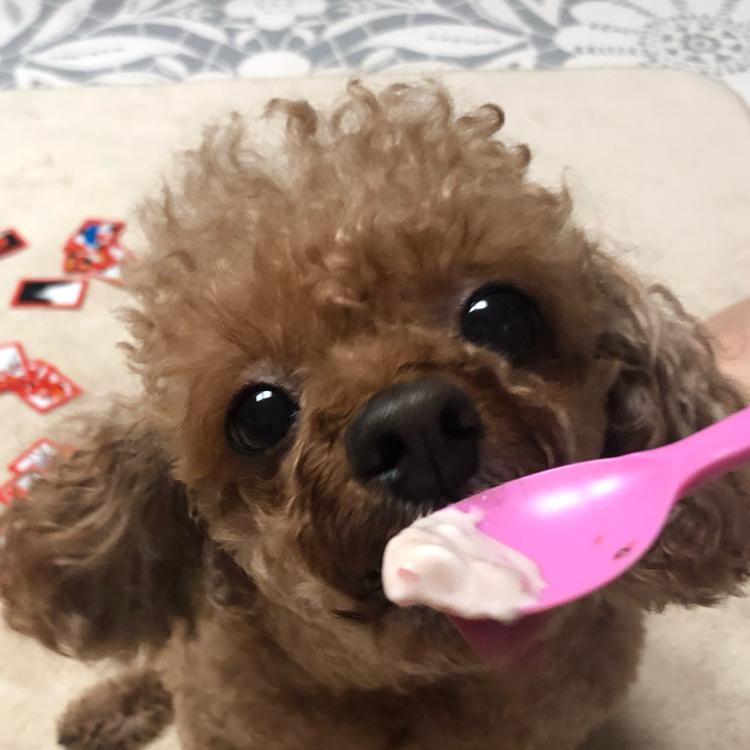 wonni 프로필