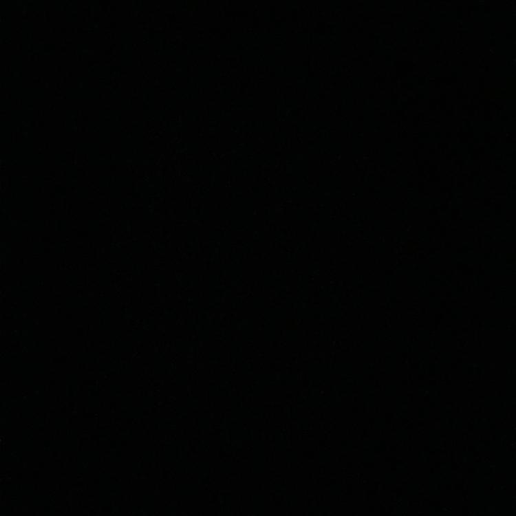 김채니 프로필