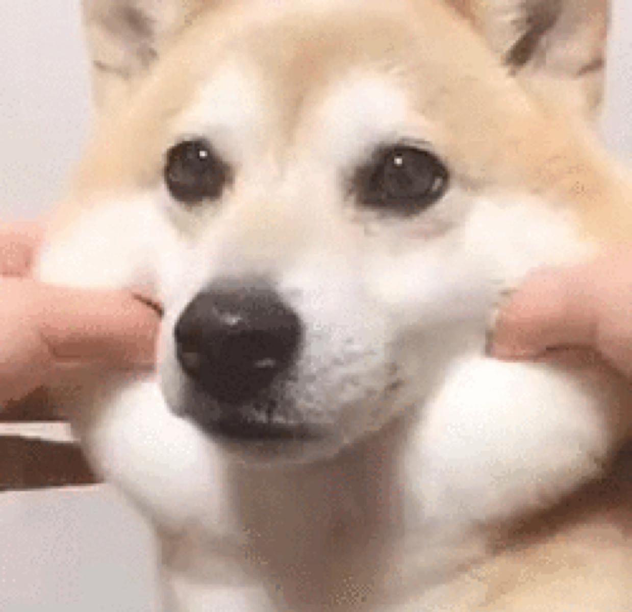 리뷰어 프로필