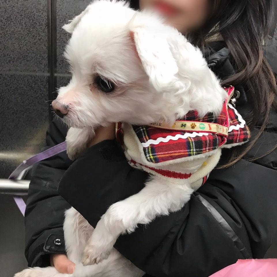 뭉치뿌꾸쭈꾸 프로필