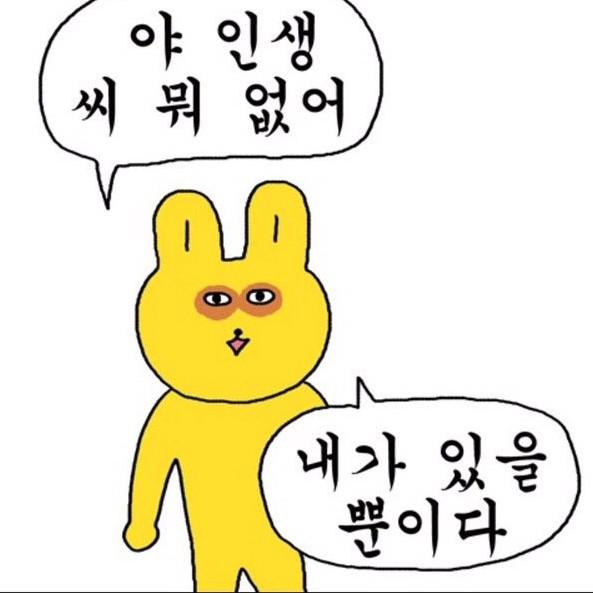kdododo 프로필