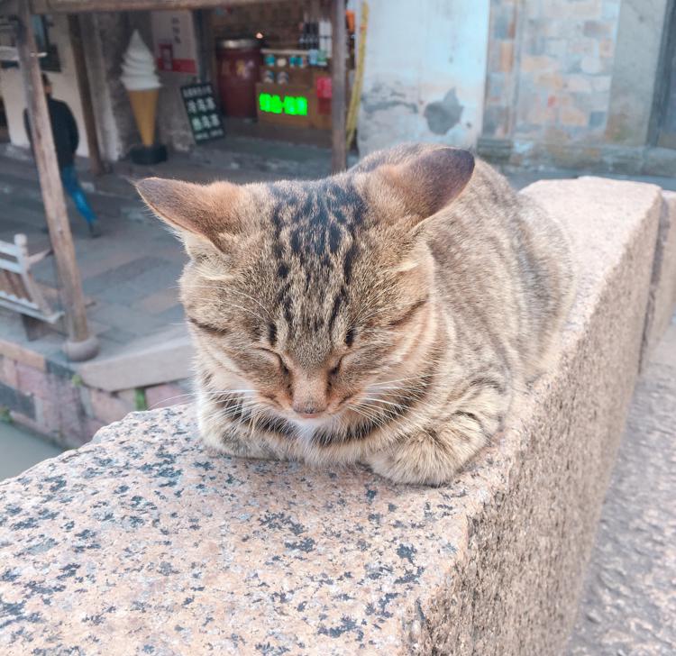 리뷰어 프로필