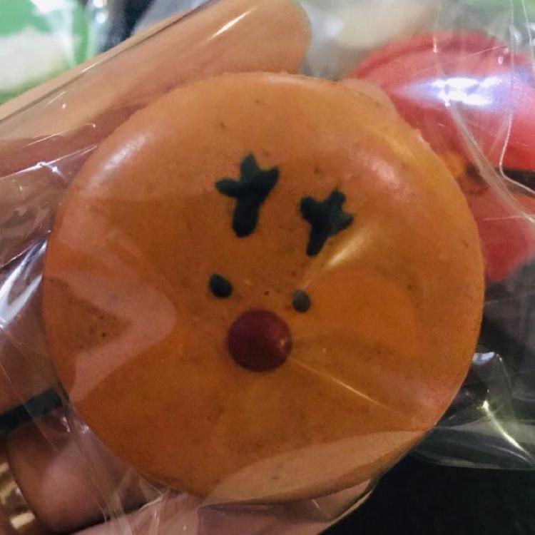 yooom 프로필