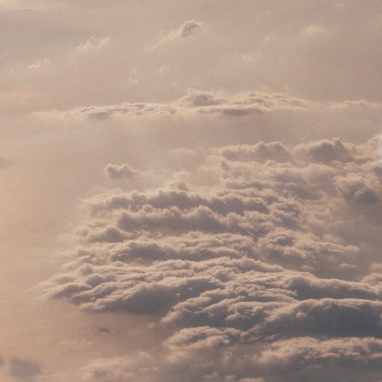 호박마차 프로필