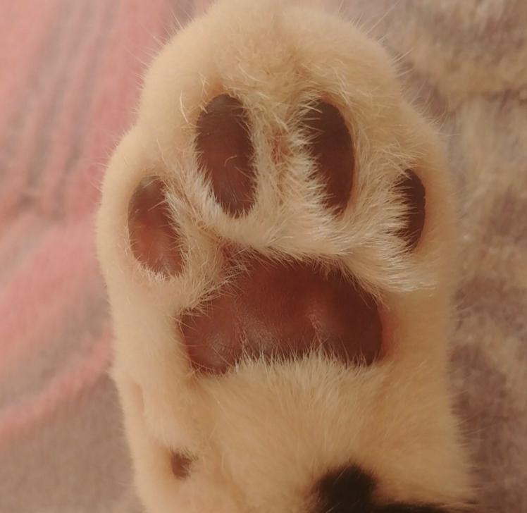 76미역 프로필