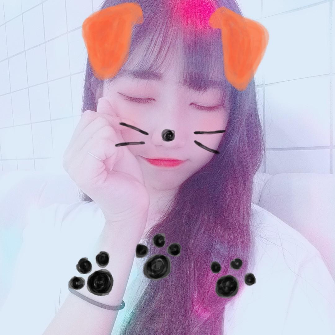 이초분 프로필