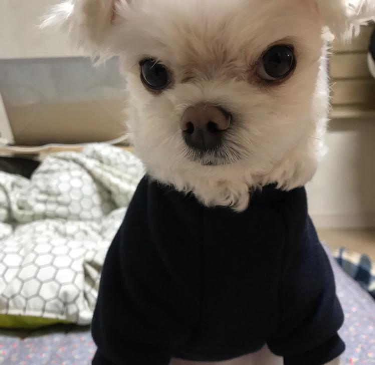 리뷰어 프로필
