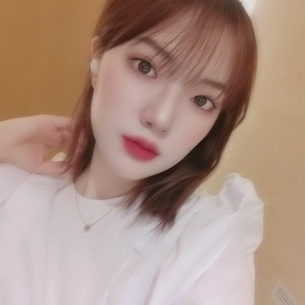 정민들레 프로필