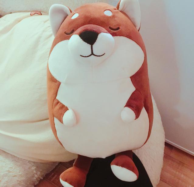 안테 프로필