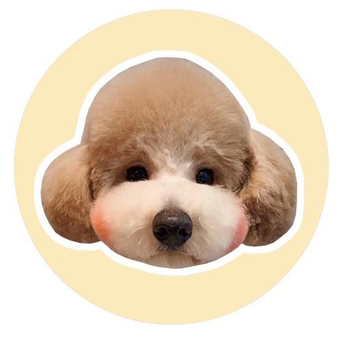 김델리 프로필