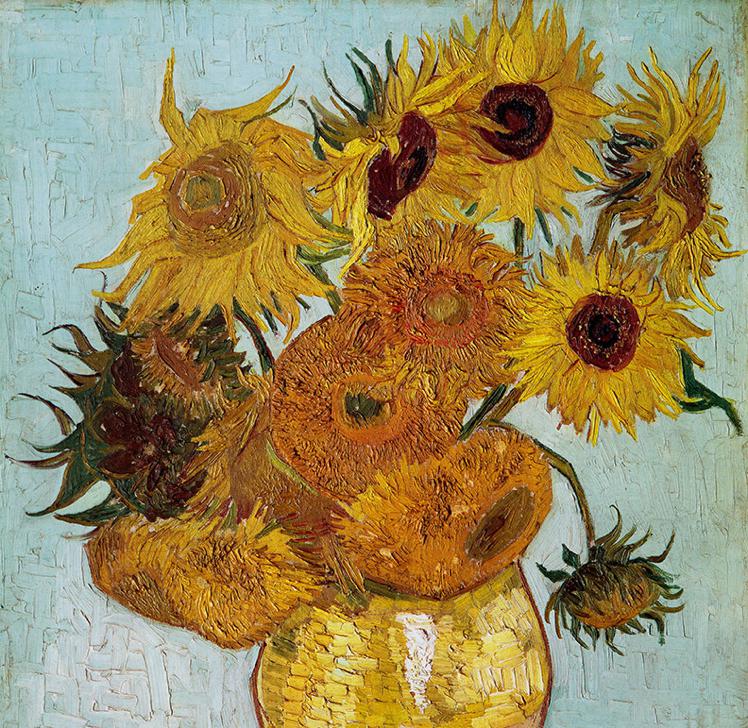 Sunflower 프로필