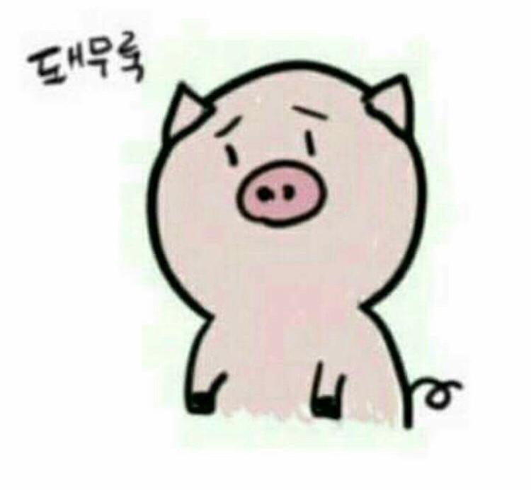 hj02 프로필