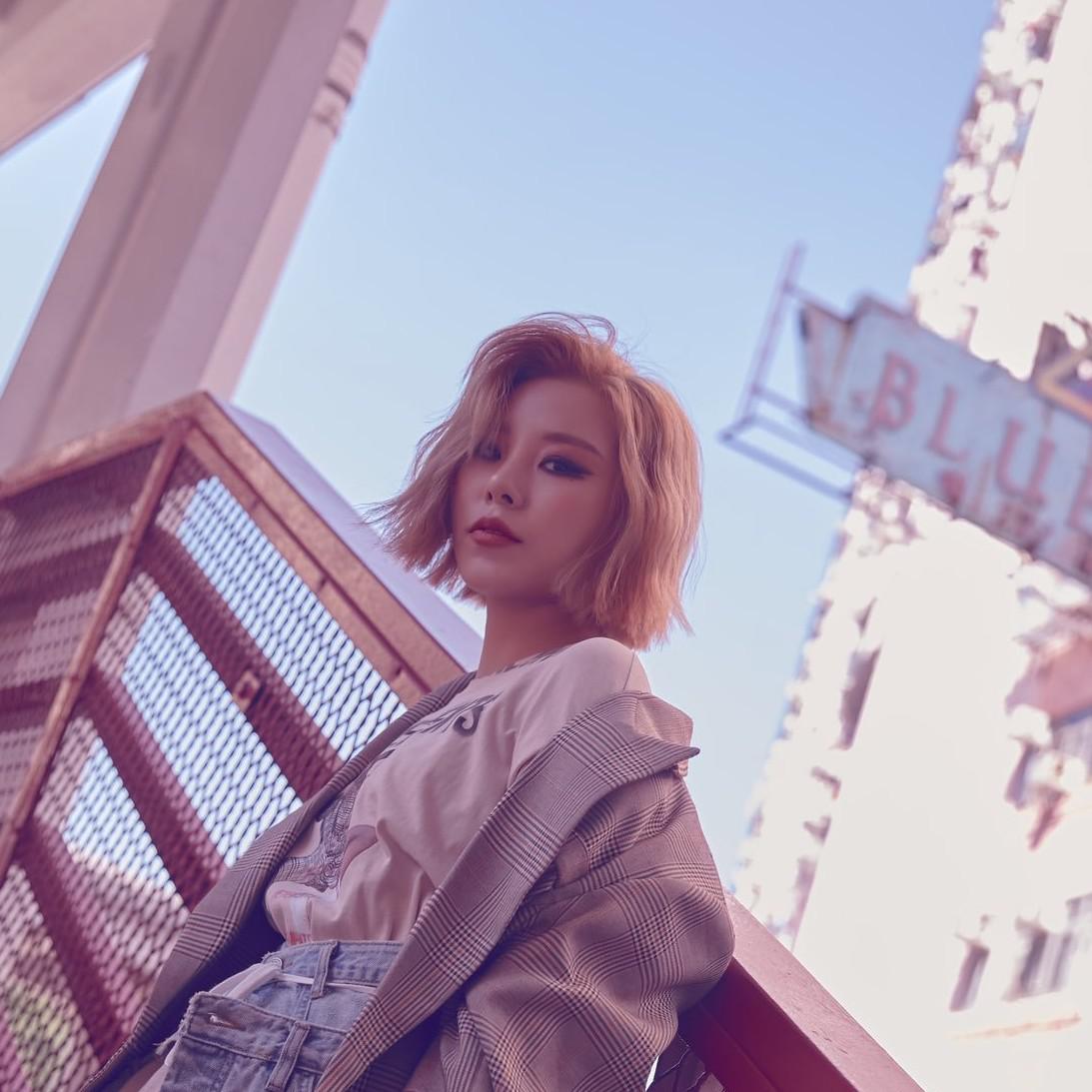 소재카 프로필