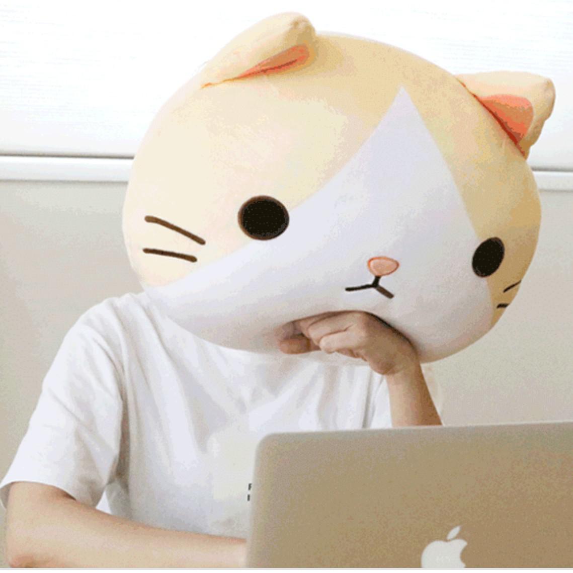 이깐심 프로필