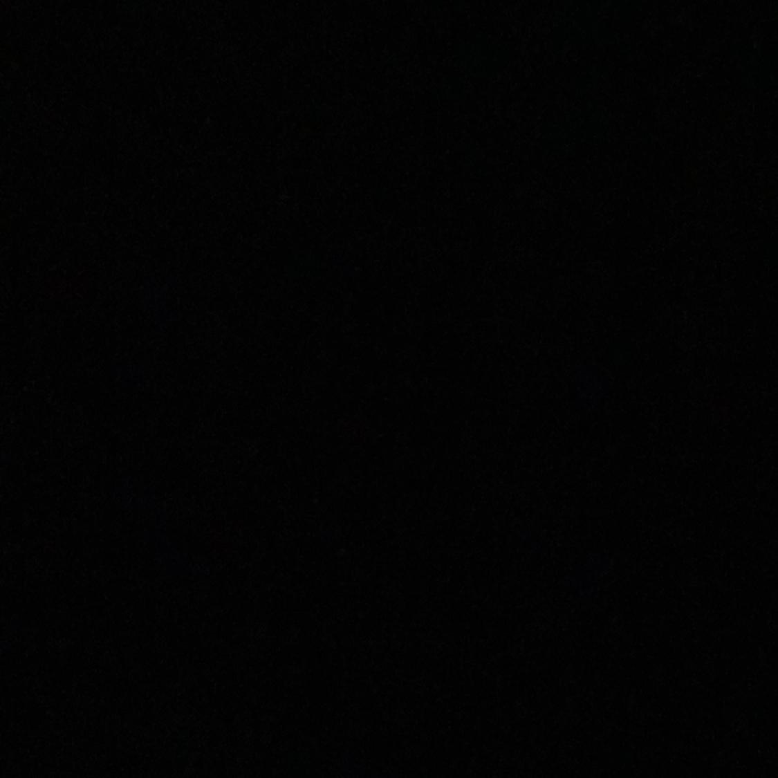 단종안돼 프로필