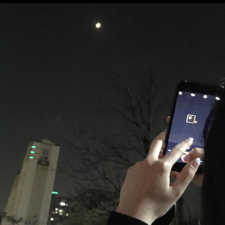코덕블리 프로필