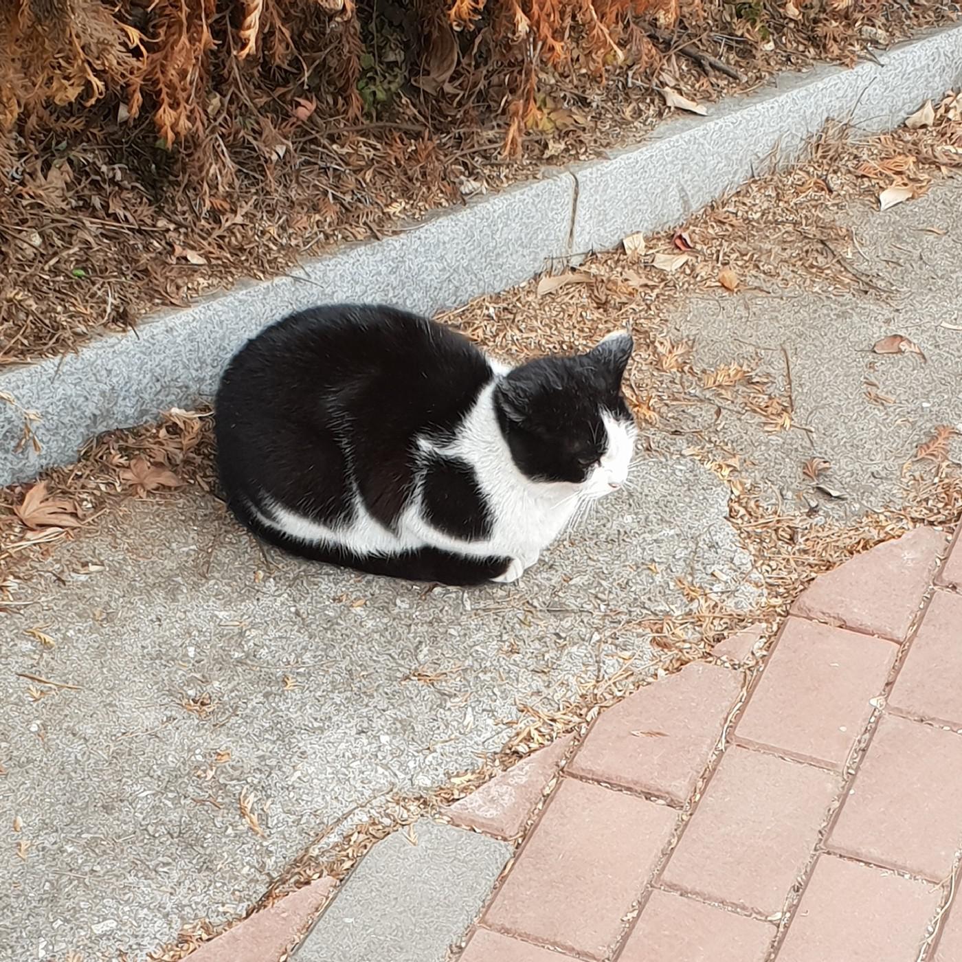 리뷰어 프로필