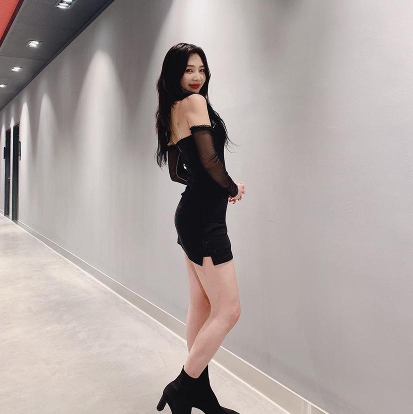 유붕붕 프로필