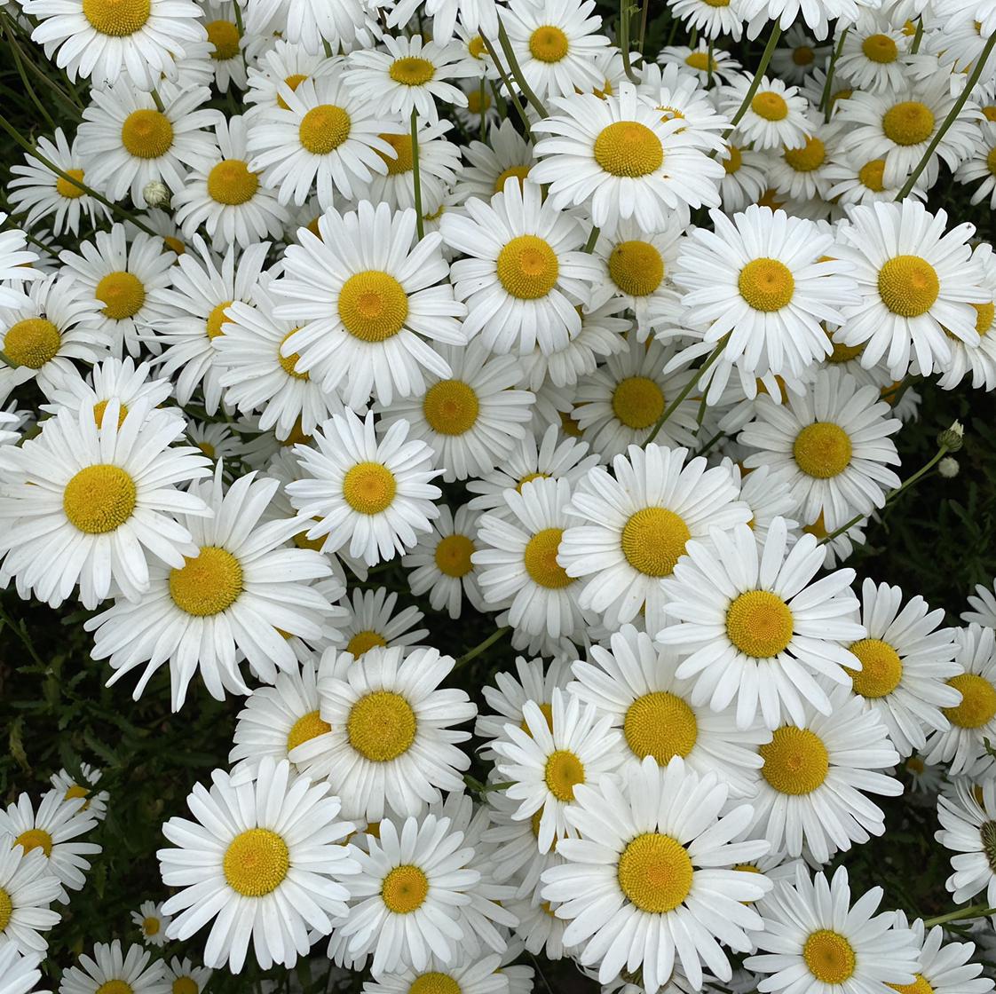 리뷰어 프로필