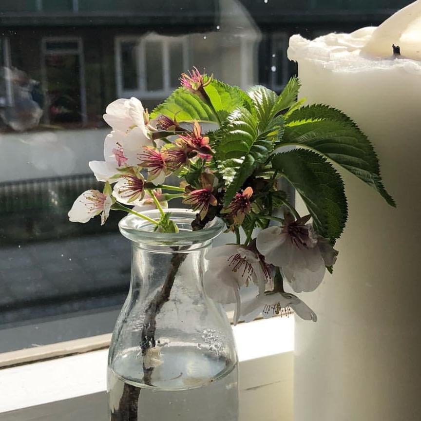 peach2v 프로필