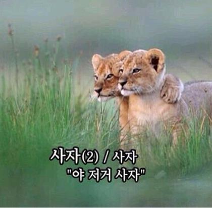 리뷰어 프로필