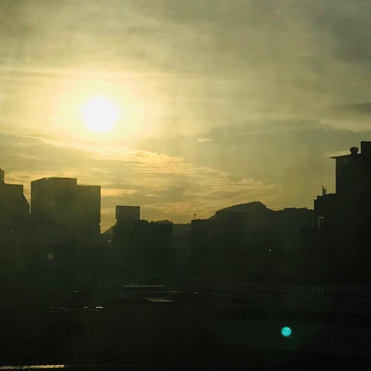 twto 프로필