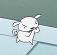 신수르