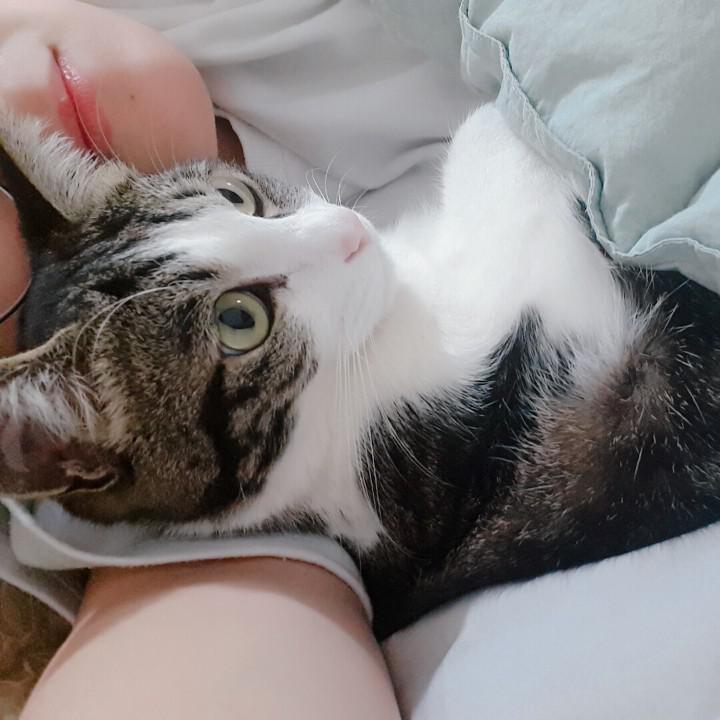 쿰착 프로필