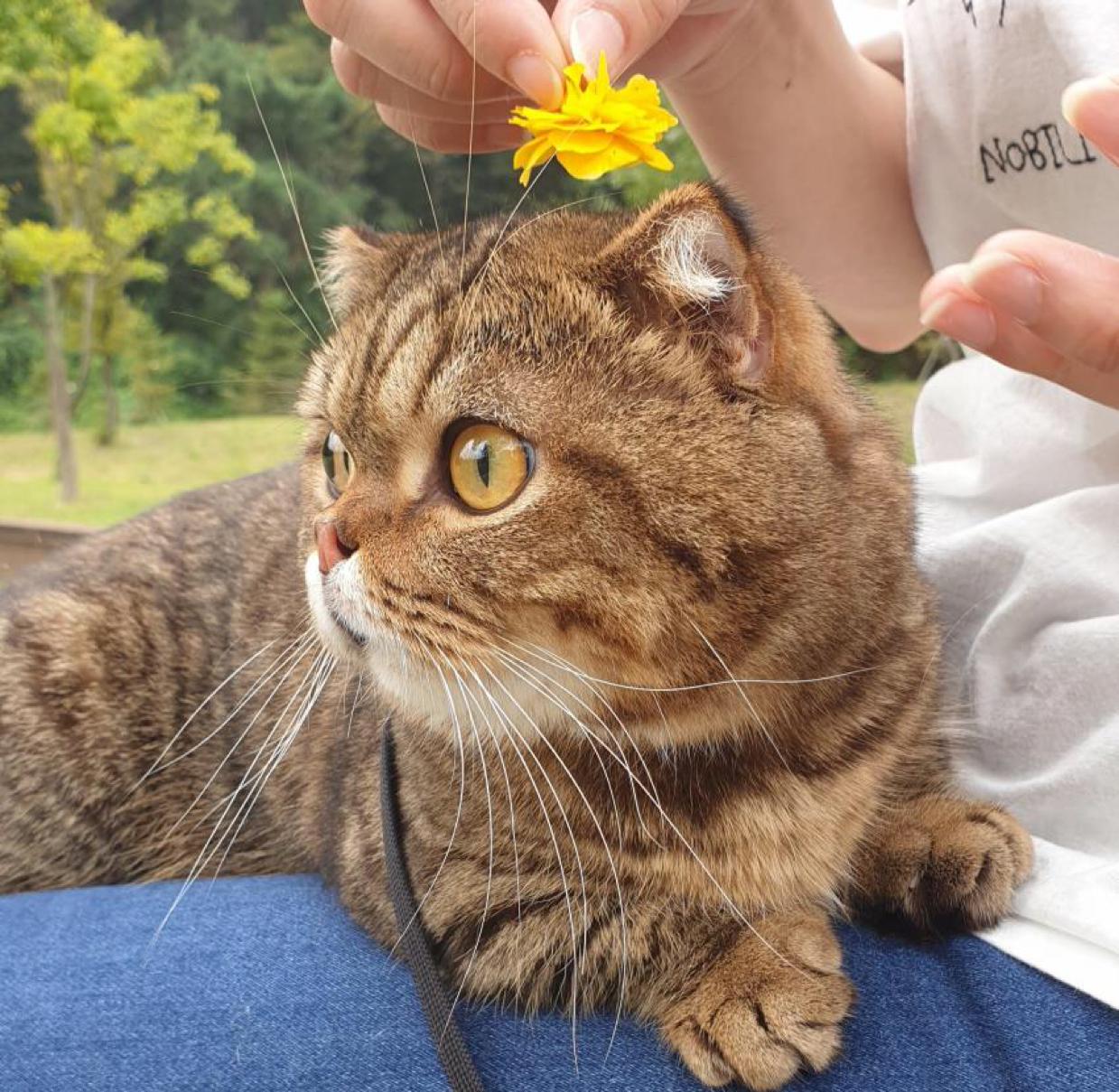 오매기떡 프로필