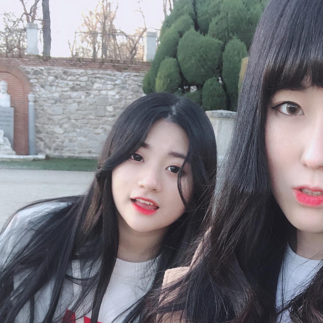 잉큐찌 프로필