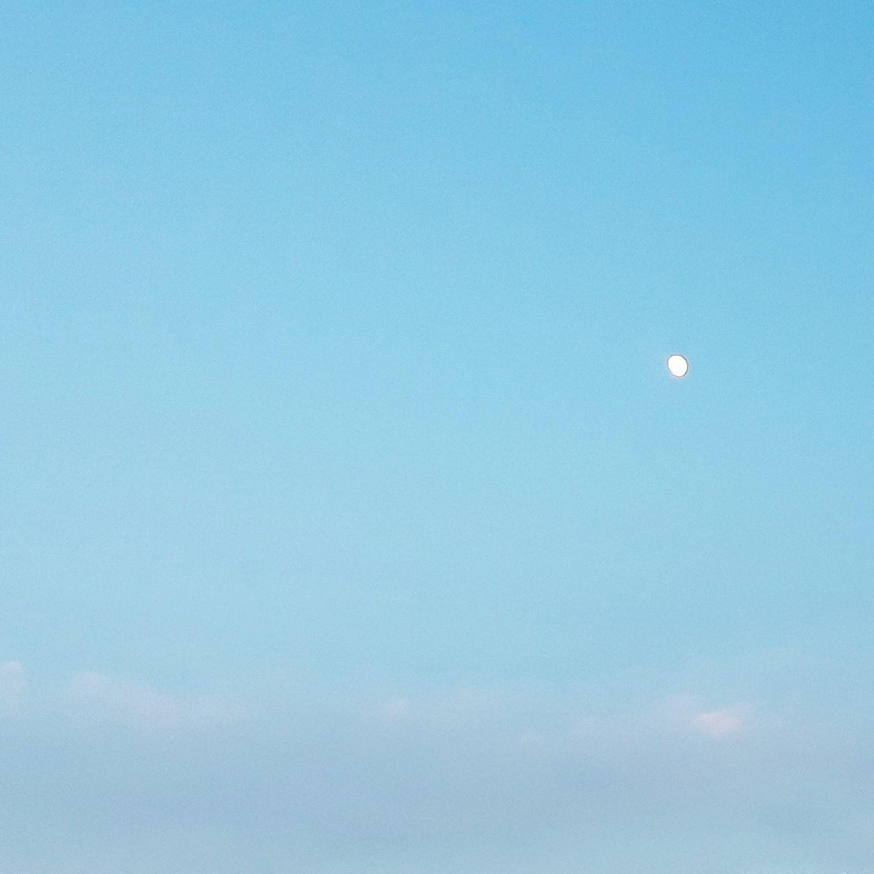 리뷰어 프로필
