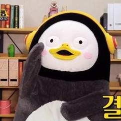 김주디 프로필