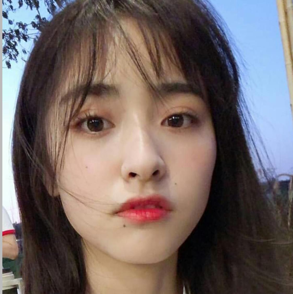 뎨뎨꾹 프로필