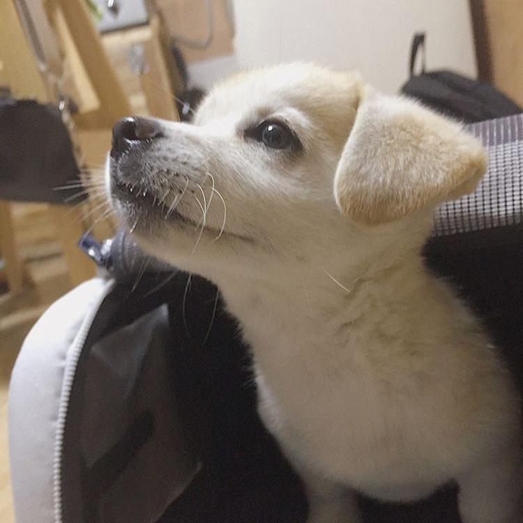 김나님 프로필